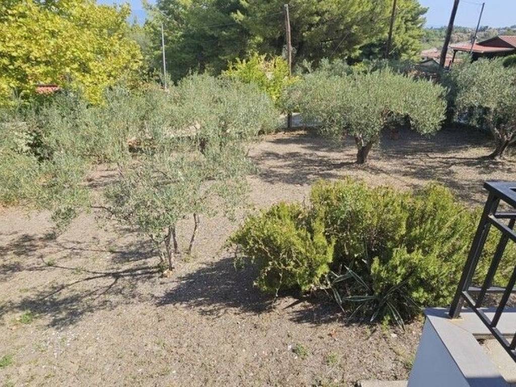 Detached - Grekodom 61016|913495