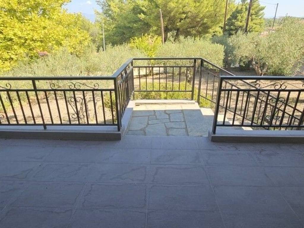 Detached - Grekodom 61016|913494