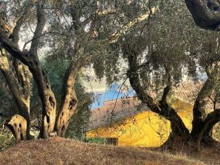 Plot - Grekodom 61049|914166