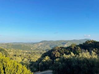 Plot - Grekodom 61049|914165