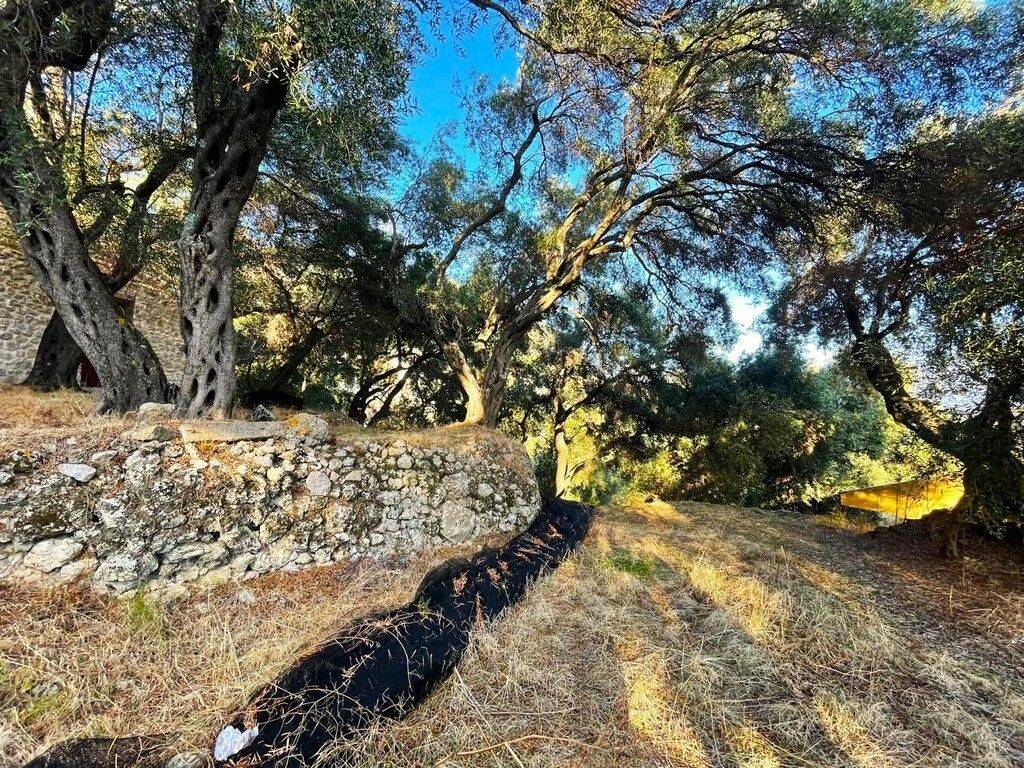 Plot - Grekodom 61049|914162