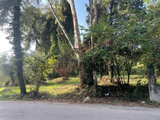 Plot - Grekodom 61294|921965