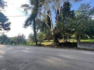 Plot - Grekodom 61294|921966