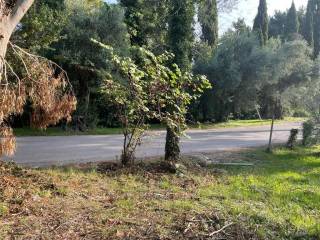 Plot - Grekodom 61294|921981