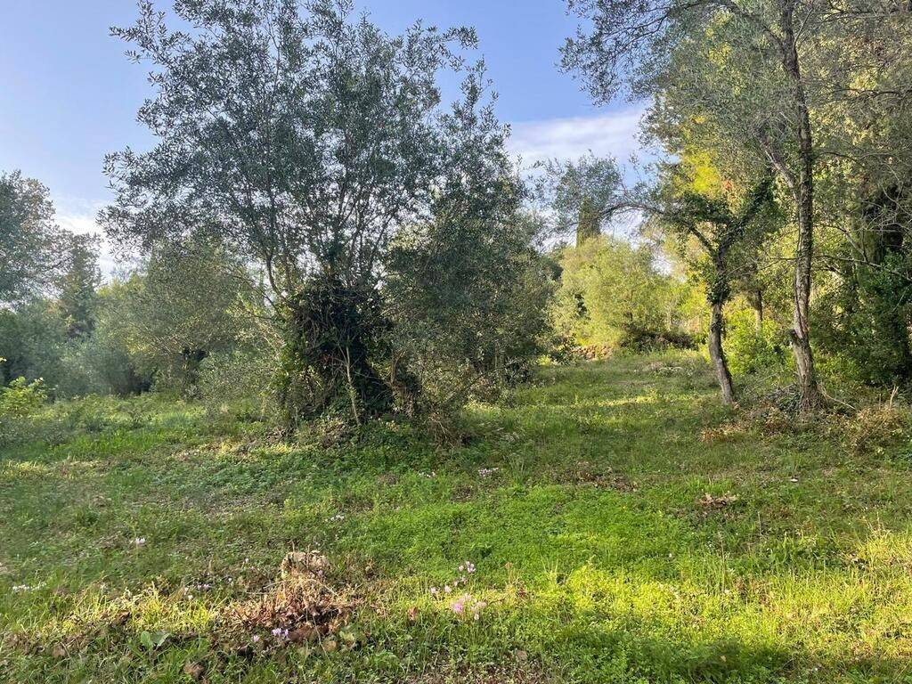 Plot - Grekodom 61294|921985