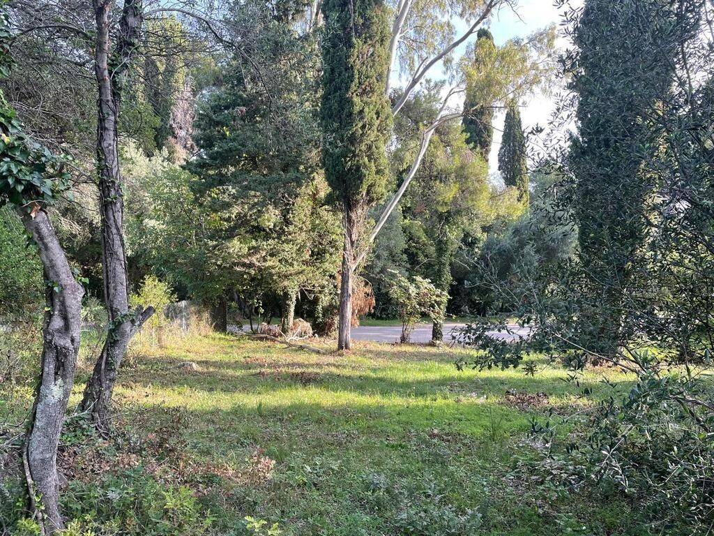 Plot - Grekodom 61294|921986