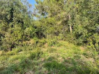 Plot - Grekodom 61294|921989