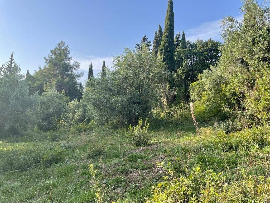 Plot - Grekodom 61294|922009