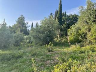 Plot - Grekodom 61294|922009