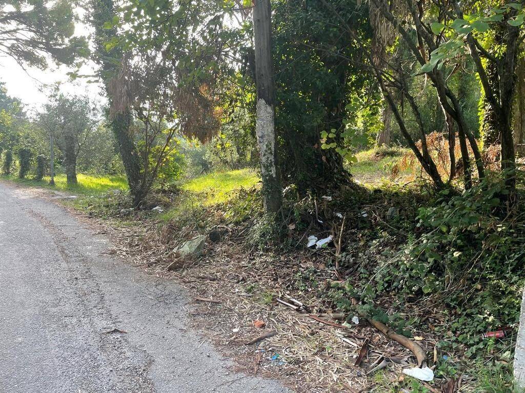 Plot - Grekodom 61294|921973