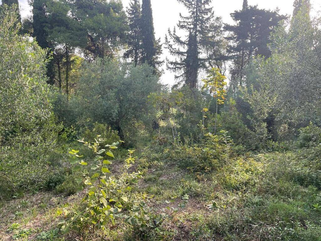 Plot - Grekodom 61294|921997