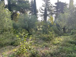 Plot - Grekodom 61294|921997