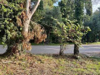 Plot - Grekodom 61294|921982