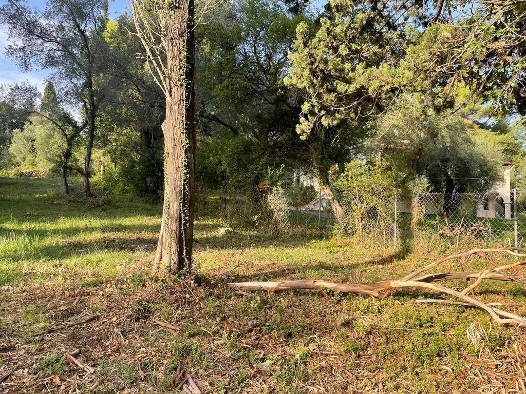 Plot - Grekodom 61294|921983