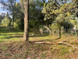 Plot - Grekodom 61294|921983