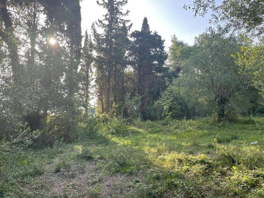 Plot - Grekodom 61294|921987