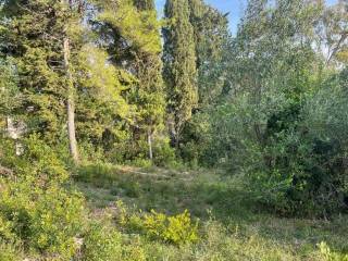 Plot - Grekodom 61294|922011