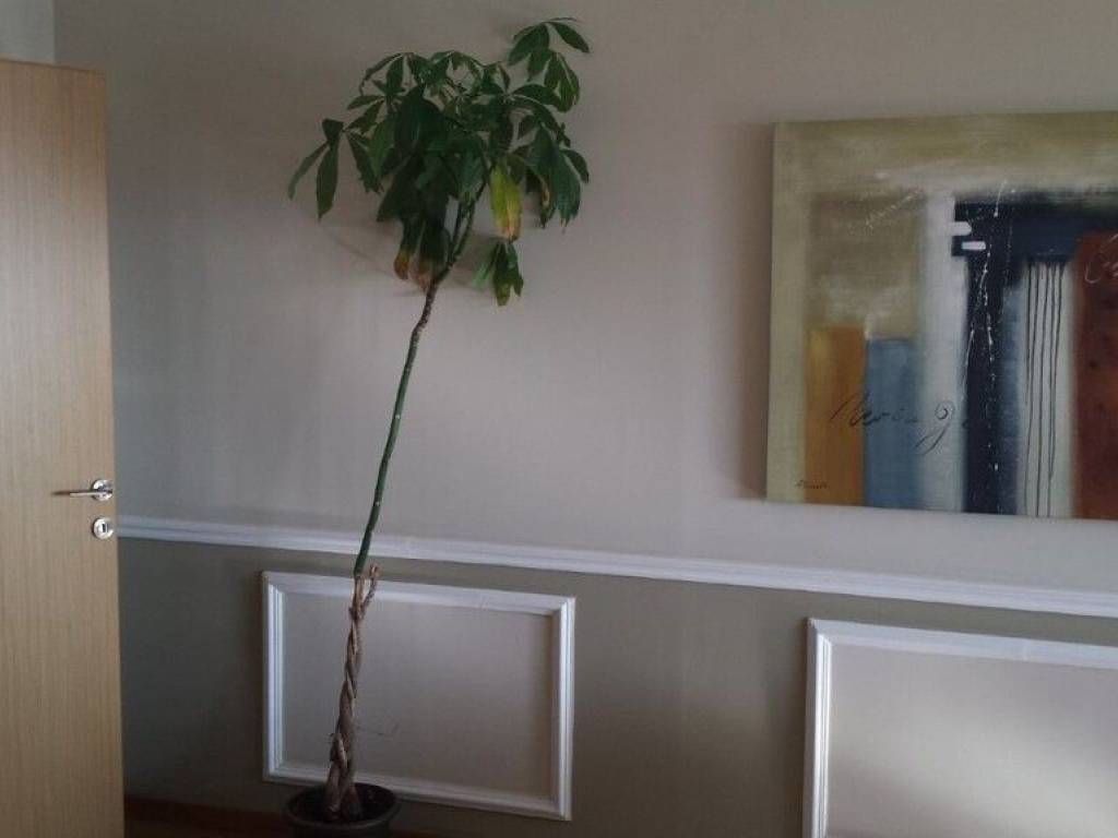 Other commercial - Grekodom 61476|927058