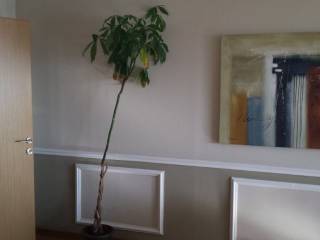 Other commercial - Grekodom 61476|927058