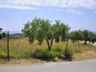 Plot - Grekodom 61587|931038