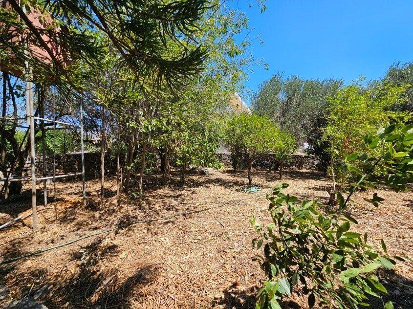 Detached - Grekodom 60206|885666