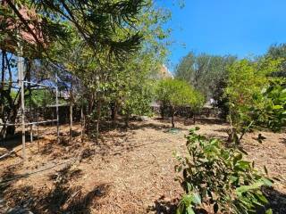 Detached - Grekodom 60206|885666