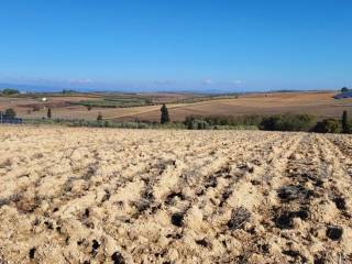 Plot - Grekodom 61589|931071