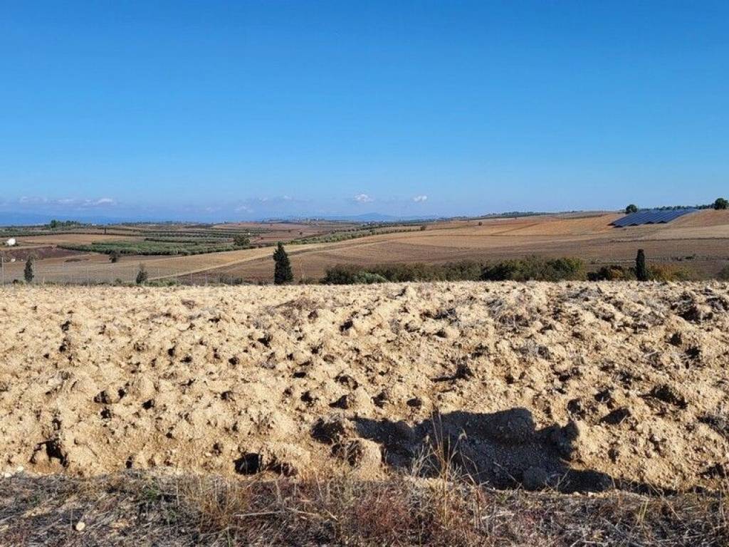 Plot - Grekodom 61589|931072