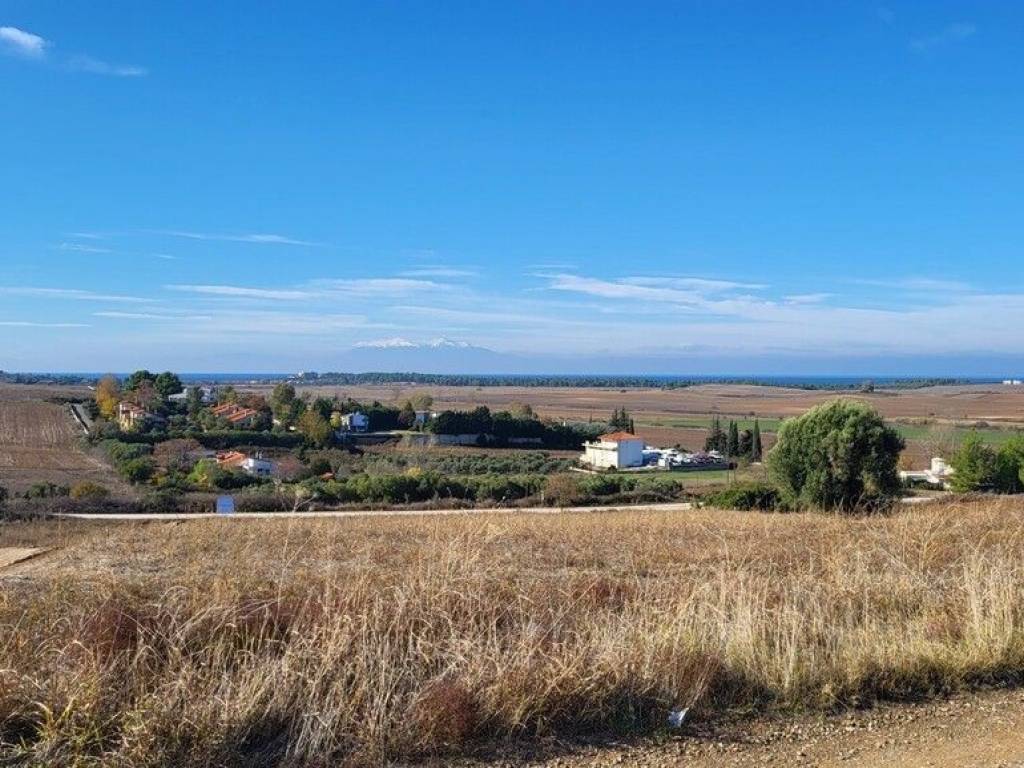 Plot - Grekodom 61589|931074