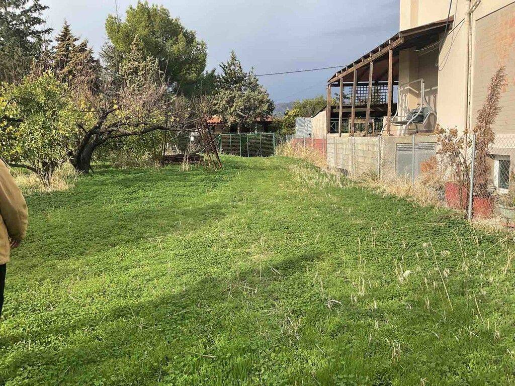 Building - Grekodom 61785|935711