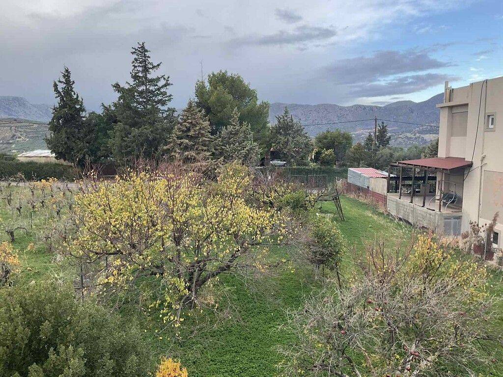 Building - Grekodom 61785|935719