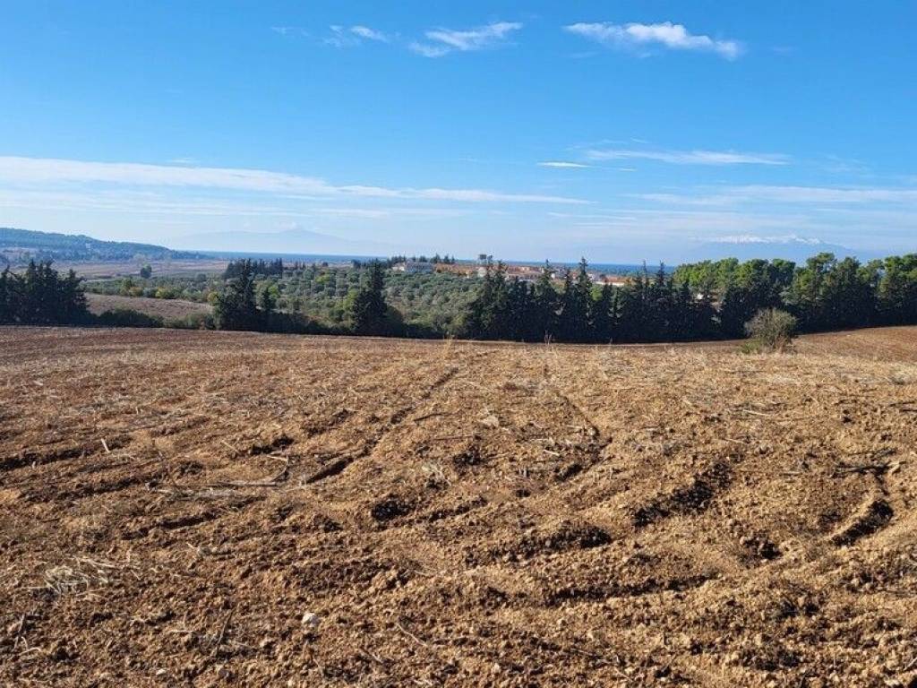 Plot - Grekodom 61821|936557