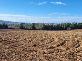 Plot - Grekodom 61821|936557