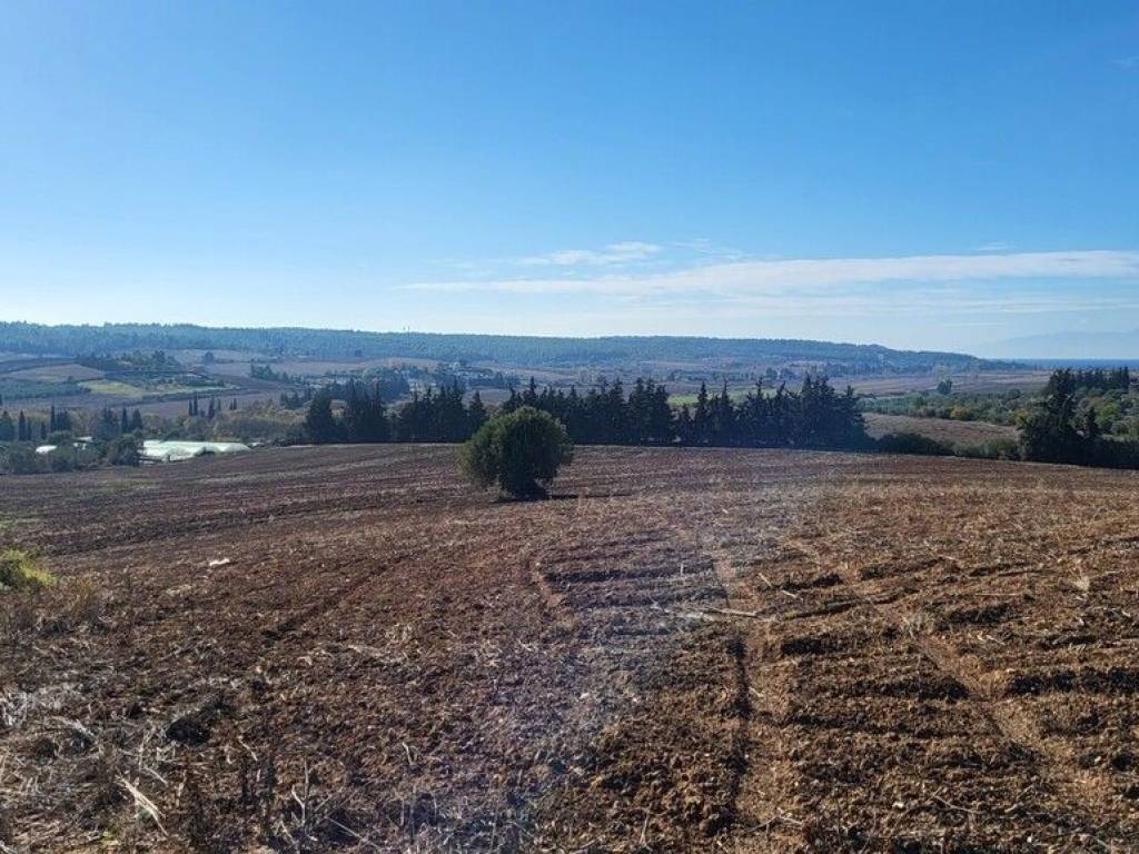 Plot - Grekodom 61821|936560