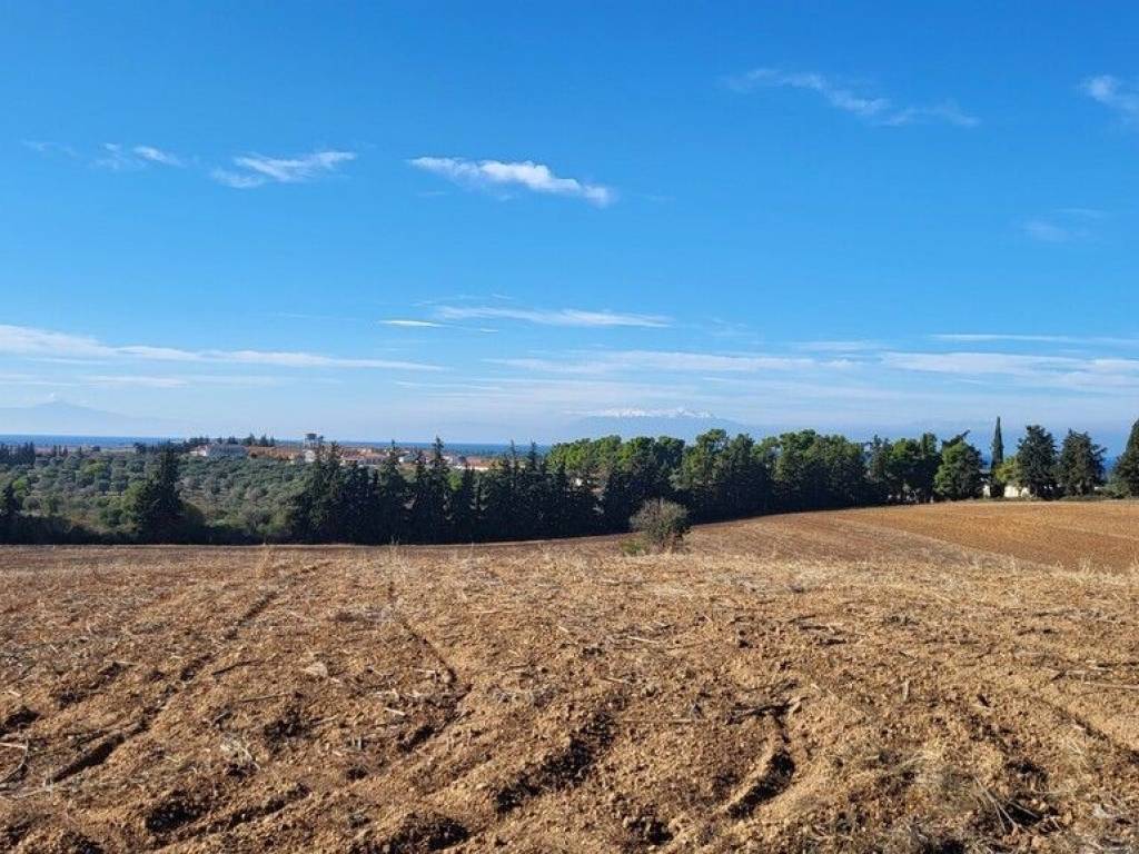 Plot - Grekodom 61821|936558