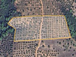 Plot - Grekodom 62182|950401