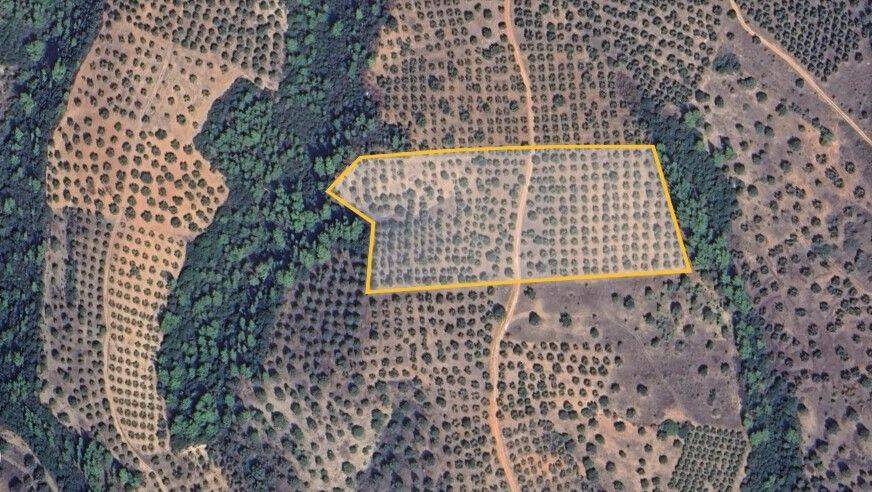 Plot - Grekodom 62182|950402