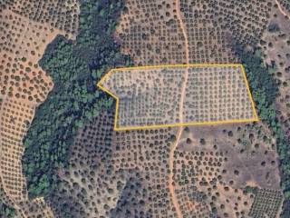 Plot - Grekodom 62182|950402