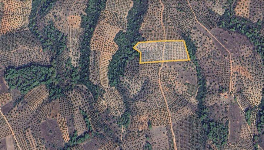 Plot - Grekodom 62182|950403