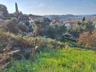 Plot - Grekodom 62298|953767