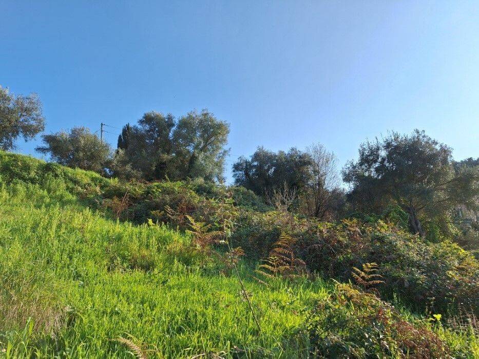 Plot - Grekodom 62298|953768