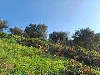 Plot - Grekodom 62298|953768