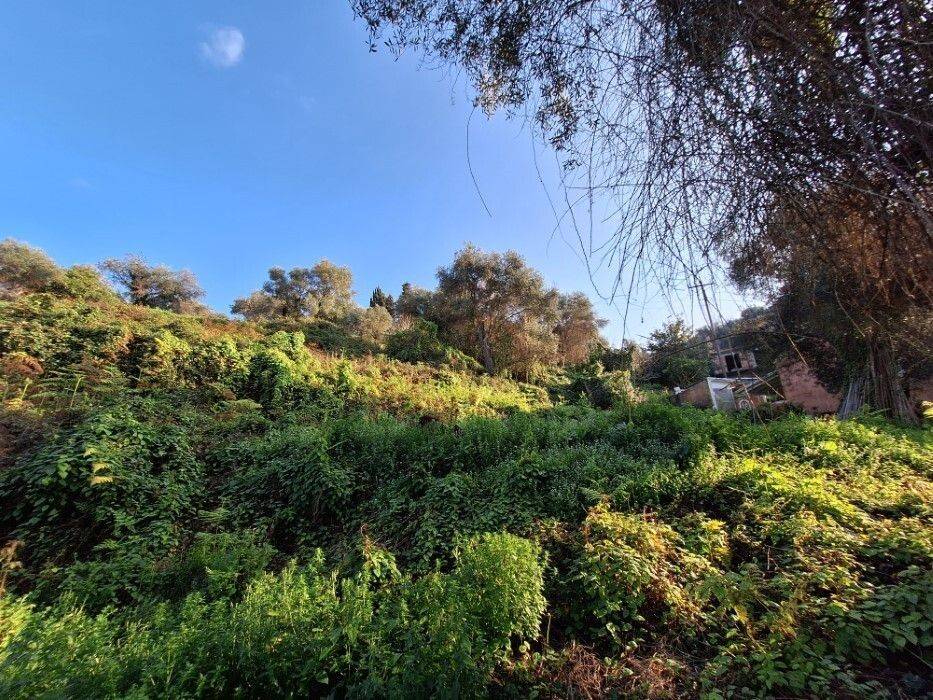 Plot - Grekodom 62298|953773