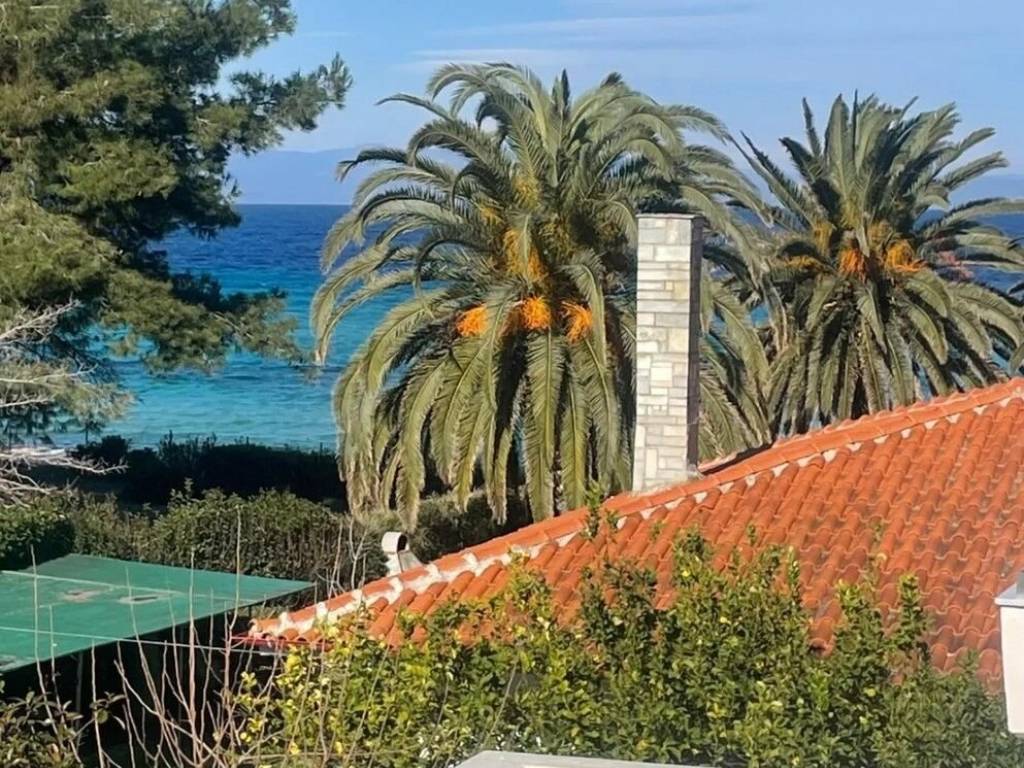 Apartment - Grekodom 62428|959349