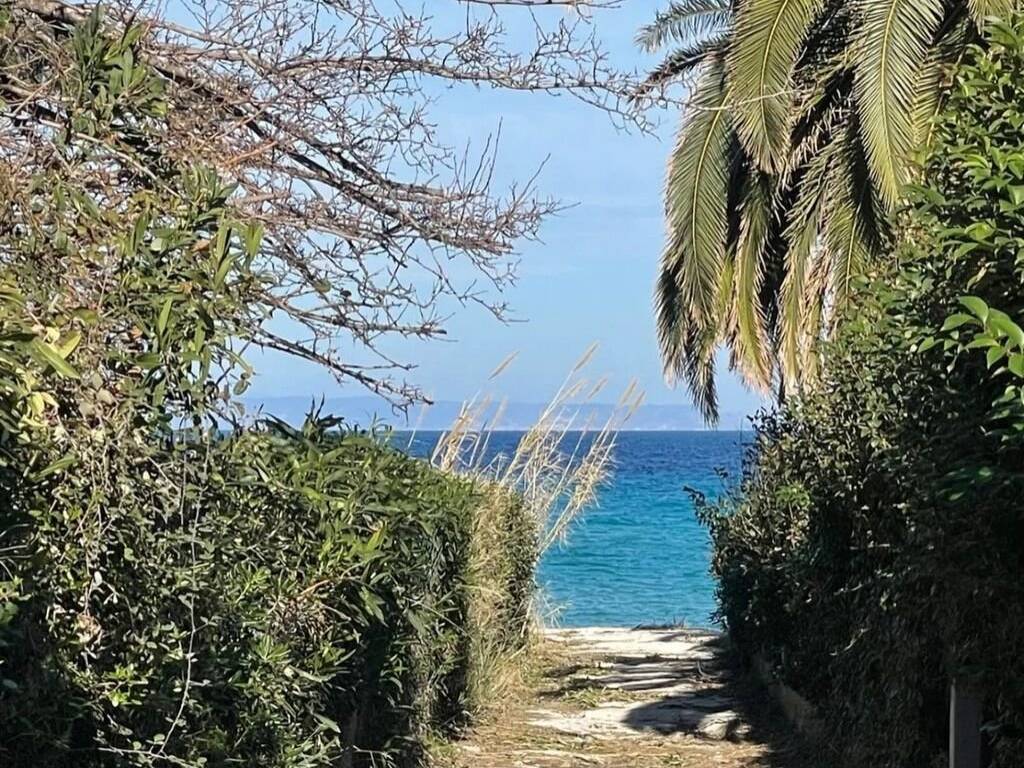 Apartment - Grekodom 62428|959361