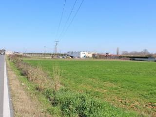 Plot - Grekodom 62484|961402