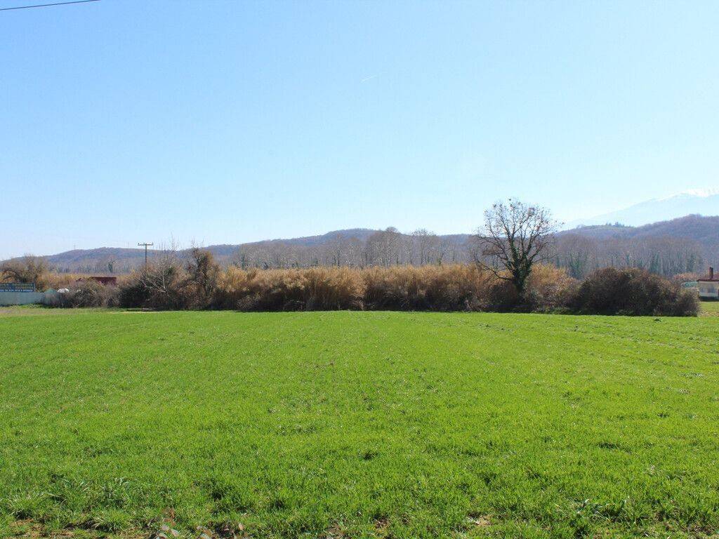 Plot - Grekodom 62484|961399