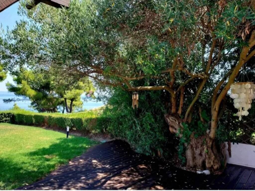 Apartment - Grekodom 62533|962379