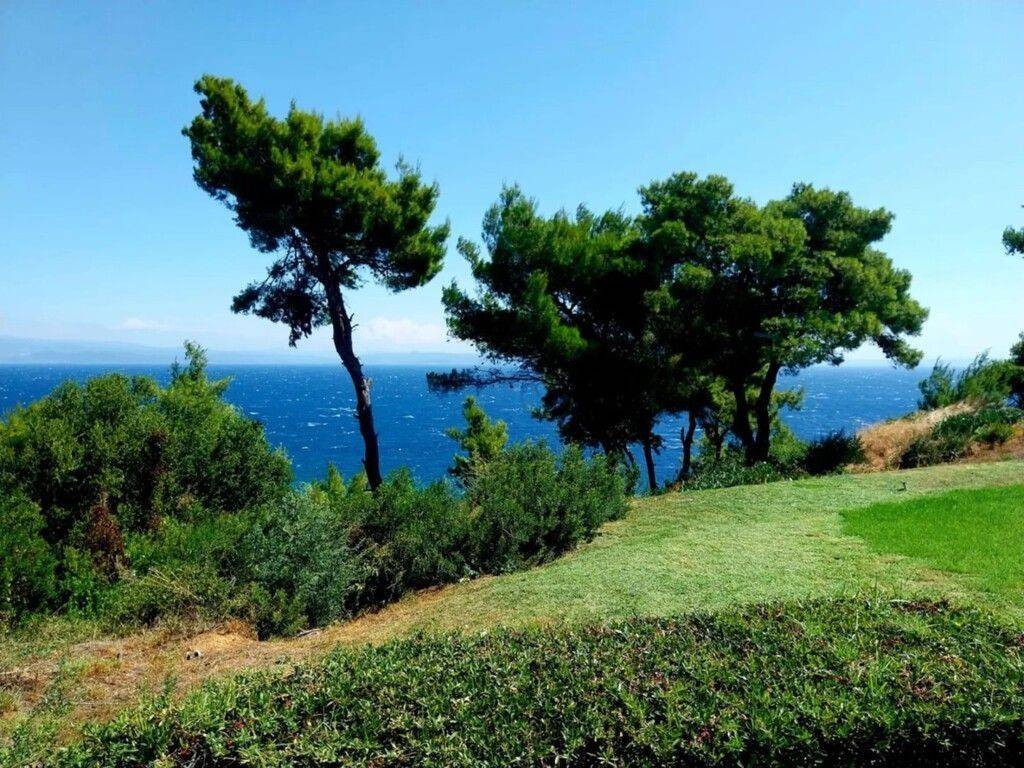 Apartment - Grekodom 62533|962393