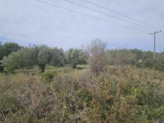 Plot - Grekodom 62617|964115